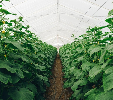 T&W Greenhouse Supplies PTY LTD - Kemps Creek, NSW