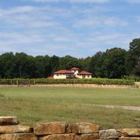 Morgan Ridge Vineyard