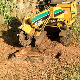 Walton's Tree Care Services