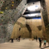 Movement Climbing & Fitness gallery