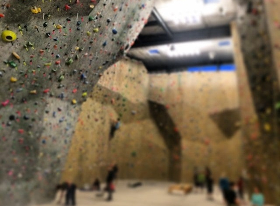 Movement Climbing & Fitness - Boulder, CO