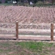 Georgia Mountain Fence Builders