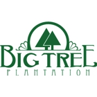 Big Tree Plantation