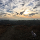 Ascot Hills Park