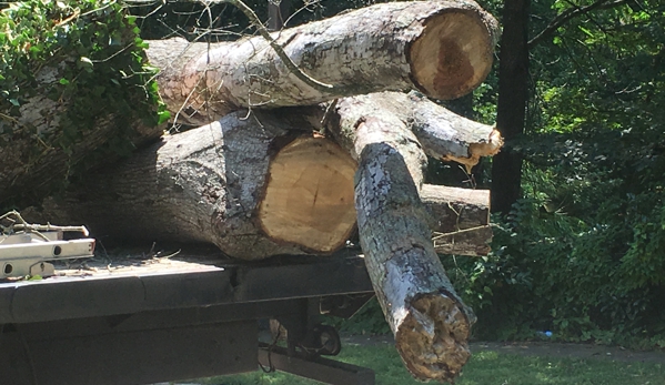 Rocky's Tree Service - Gastonia, NC