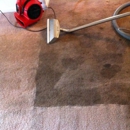 All Pro Carpet Cleaners - Upholstery Cleaners