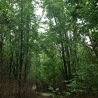 Highbanks Metro Parks