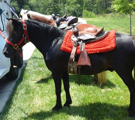 About Town Ponies - Waxhaw, NC