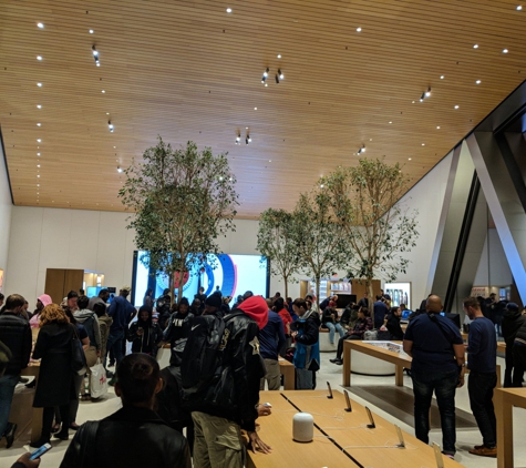 Apple Store - Brooklyn, NY