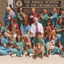 The Animal Hospital at the Crossroads - Veterinarians