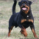 Von Herrschaft Rottweilers, LLC - Livestock Breeders