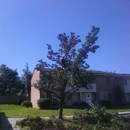 A Professional Tree Service - Arborists