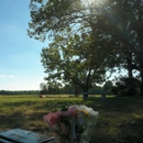 Forest Green Park Cemetery - Cemeteries