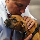 Philadelphia Animal Hospital