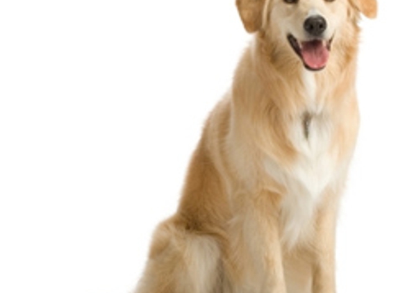 Wagga Boarding Kennels And Cattery - Gelston Park, NSW