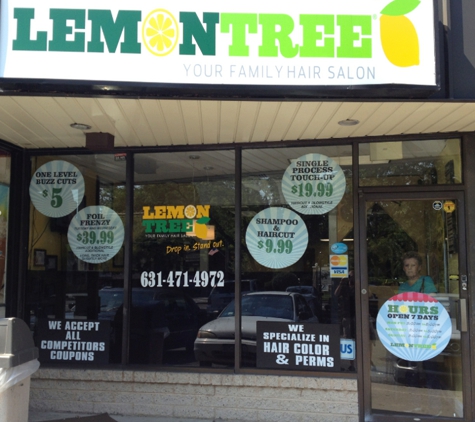 Lemon Tree, Your Family Hair Salon - Holbrook, NY