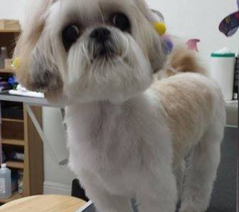 Bubbles Pet Grooming, Inc - Hialeah, FL