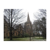 Gallery Image Number 3