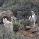 Keepers of the Wild Nature Park - Parks