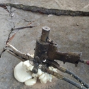 Murfreesboro Foundation Repair Experts - Concrete Pumping Contractors