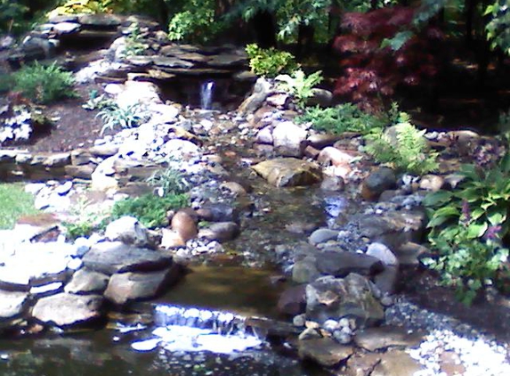 Water Garden & Koi Co - Bayville, NJ