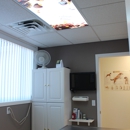 Bay Veterinary Clinic - Veterinary Clinics & Hospitals