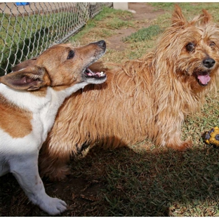 Peninsula Boarding Kennels - Moolap, VIC