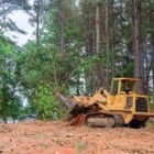 A&M Tree Service