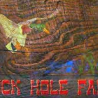 Duck Hole Farm, LLC