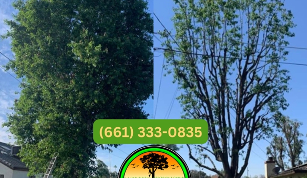 Mario's Tree Services