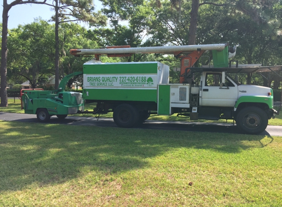 Brian's Quality Tree Service , LLC - Saint Petersburg, FL