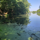 Melville Ponds Campground