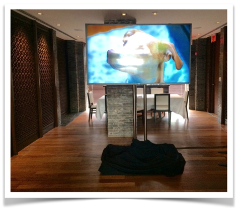 Audio Visual Outsource - Fort Lauderdale, FL