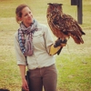 The Center for Birds of Prey gallery