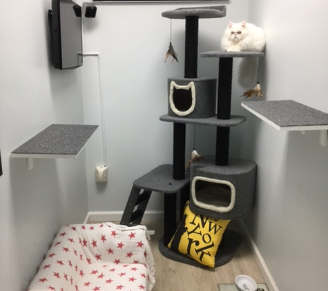 MeowLux Cat Hotel - Fort Lauderdale, FL