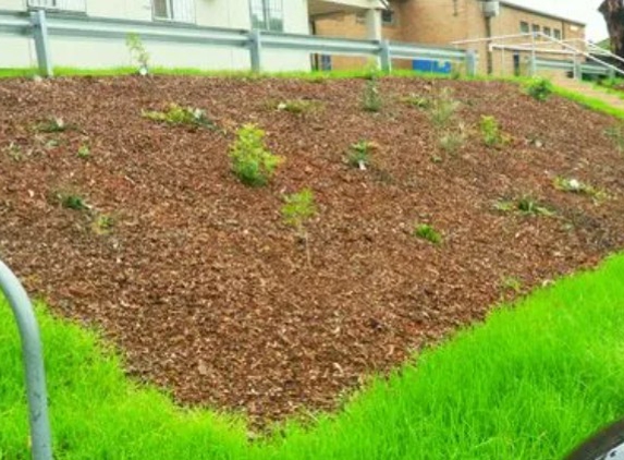 SMH Valley Fencing and Maintenance - Millfield, NSW