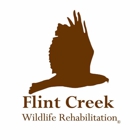 Flint Creek Wildlife Rehab Inc