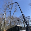 Heritage Tree Solutions gallery