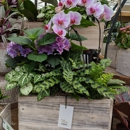 Watson's Greenhouse and Nursery - Garden Centers