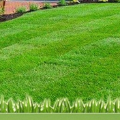 Gallery Image Number 1