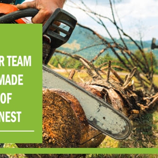 3Way Tree Services Pty Ltd - Malvern East, VIC. Our team is made up of honest