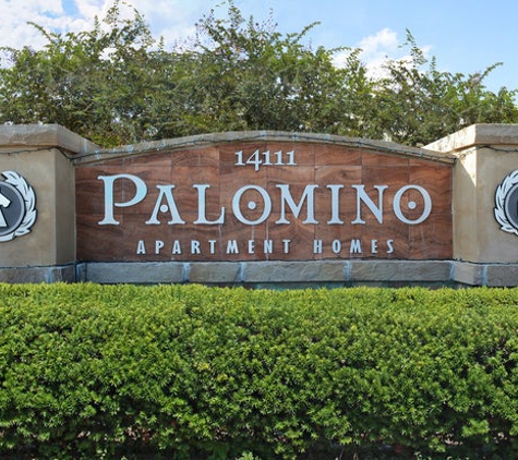 Palamino - San Antonio, TX