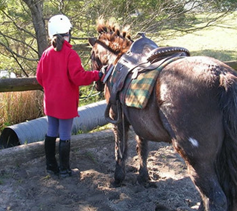Darkes Forest Riding Ranch - Darkes Forest, NSW