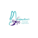 Marshmallow's HOPE Nonprofit Organization - Community Organizations