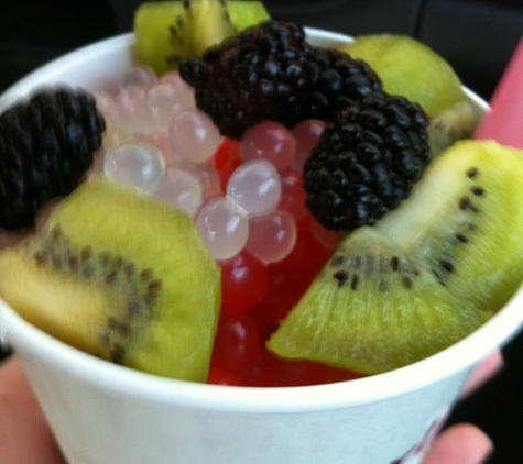 YogurtLand - Laguna Hills, CA