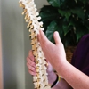 Rogers Back To Health Chiropractic gallery