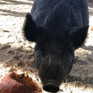 William S. Hart Ranch and Museum - Newhall, CA