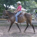 Dark Horse Farms - Horse Training