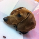 Banfield Pet Hospital - Veterinary Clinics & Hospitals