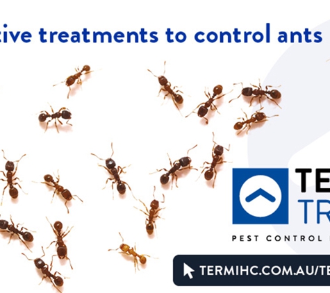 Termitrust Pest Control Experts - Kunda Park, QLD. Effective Treatments To Control Ants